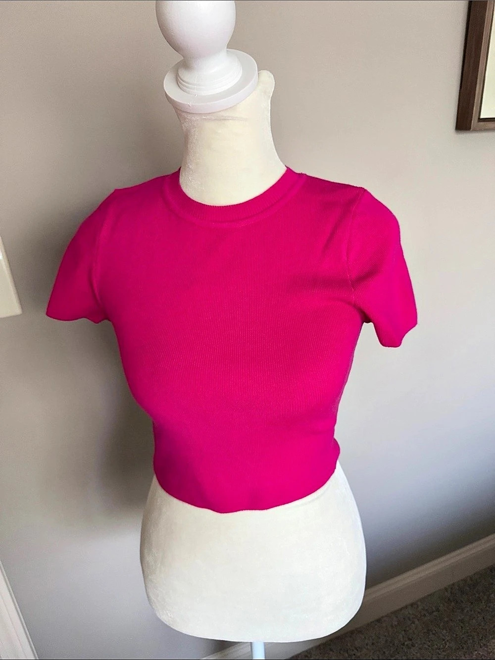 Zara Ribbed Short Sleeve Top in Pink Size Small
